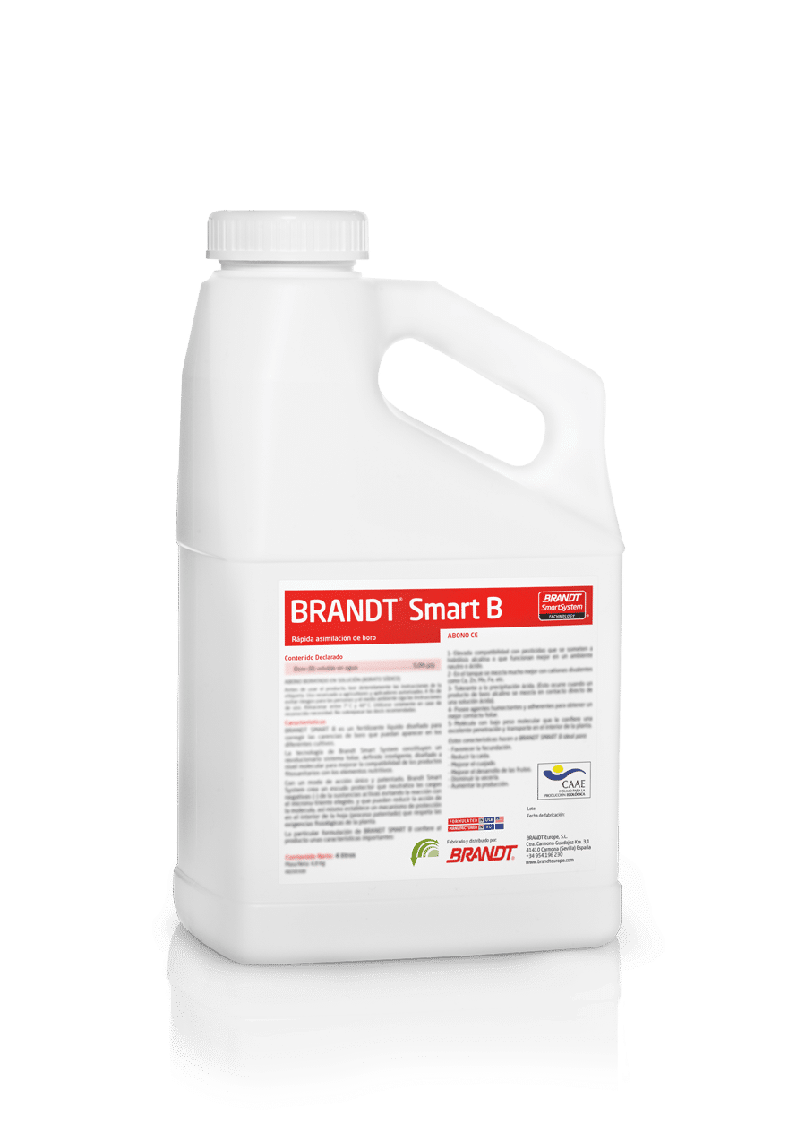 suplemento nutricional brandt smart b