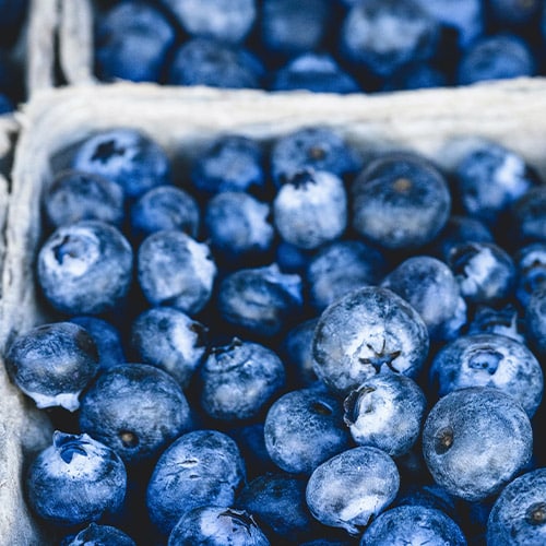 resultado de la última fase de crecimiento del cultivo de arándanos