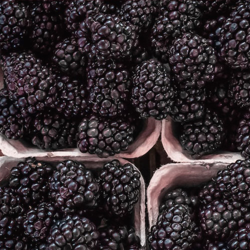 productos tras crecimiento de cultivo de moras