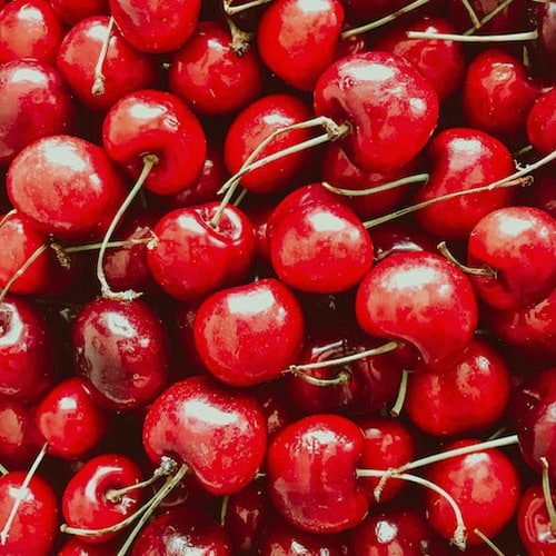 resultado del crecimiento de fruta de hueso de cerezo