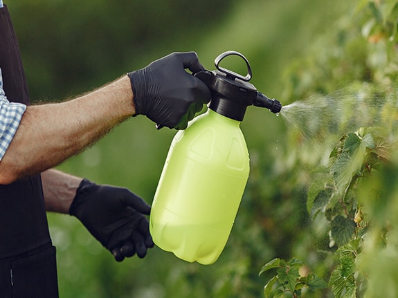 productos fertilizantes liquidos npk siendo aplicados en hojas