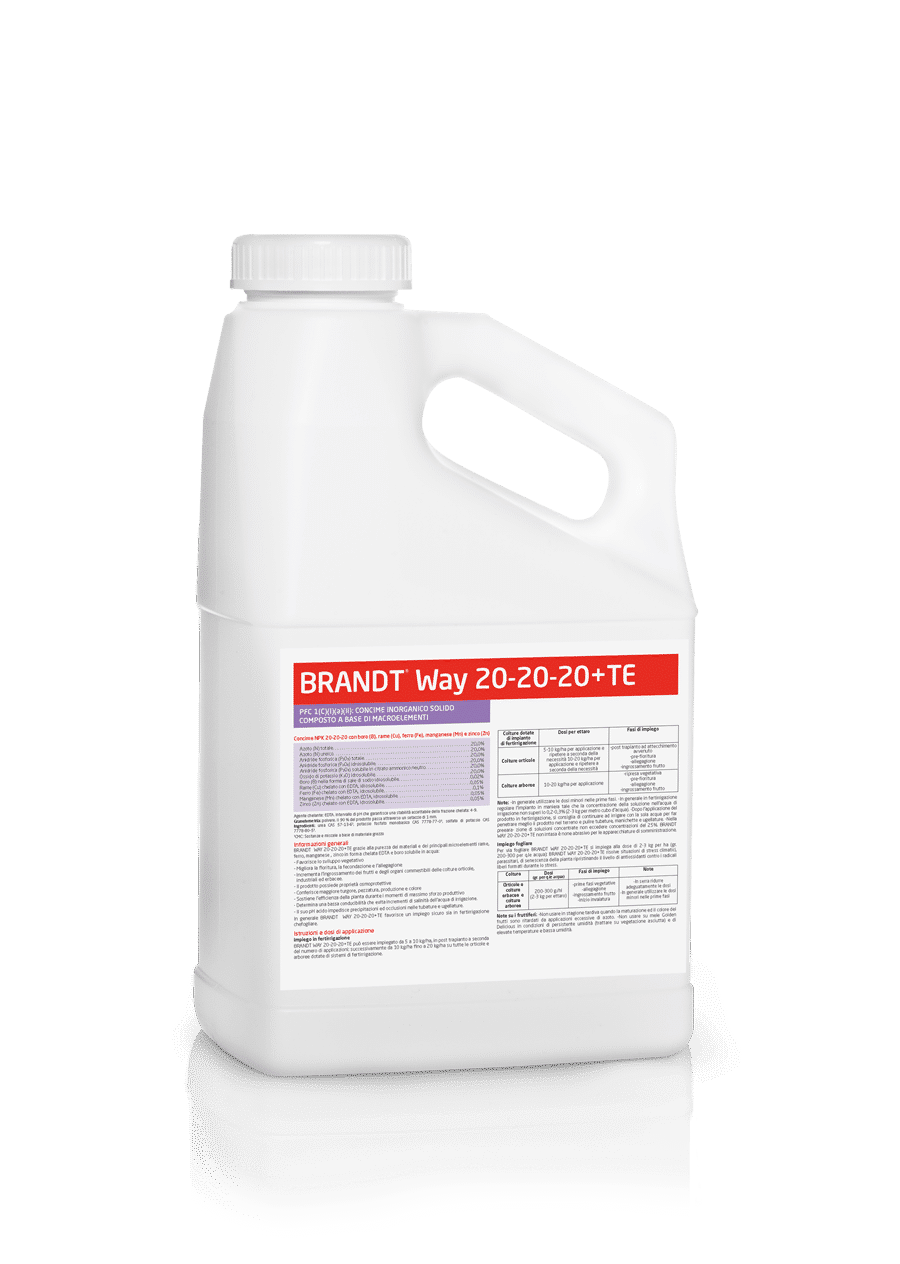 Soluble fertilizer BRANDT WAY 20-20-20