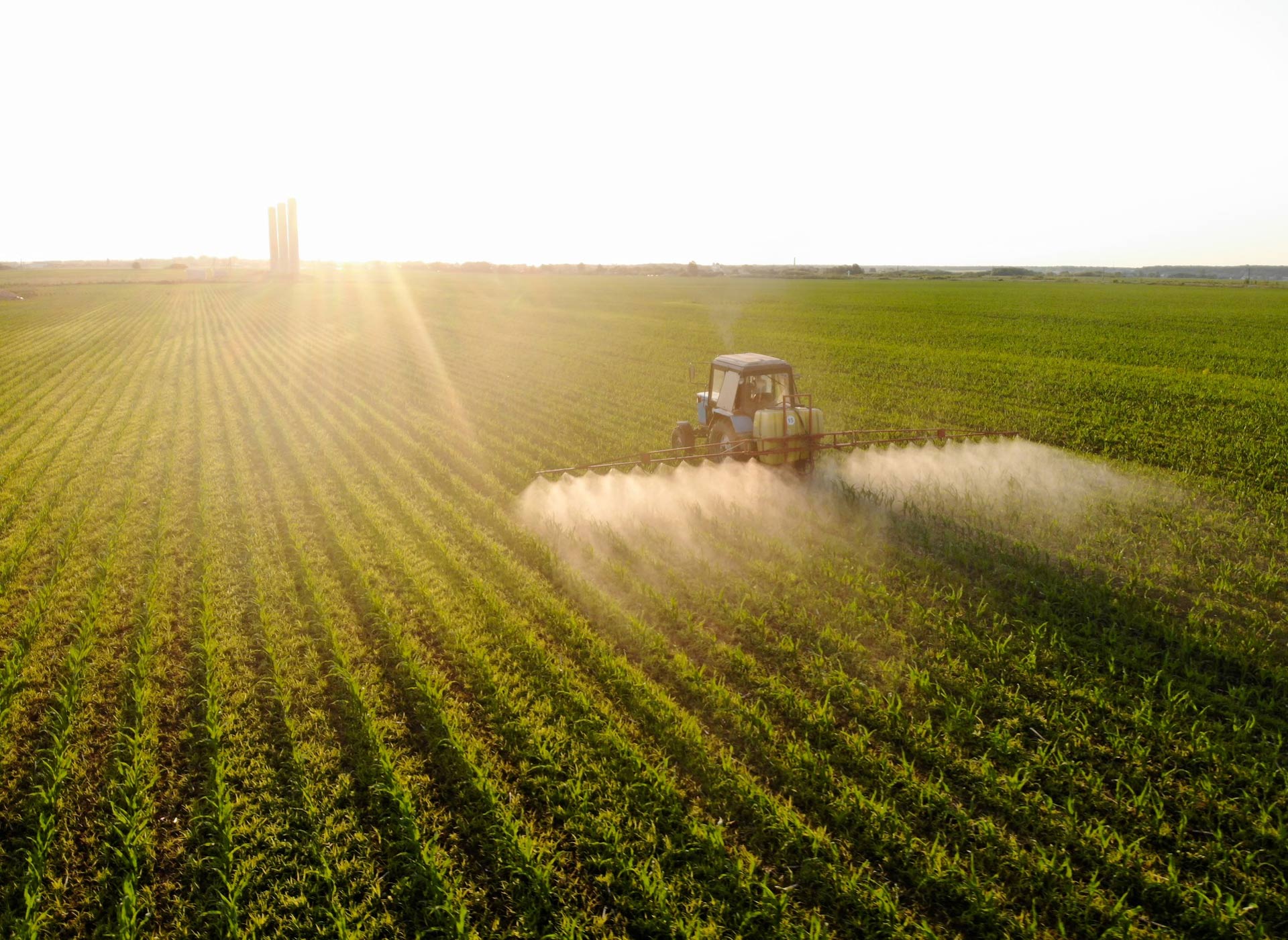 tractor en cultivo de frutales pulverizando abono foliar