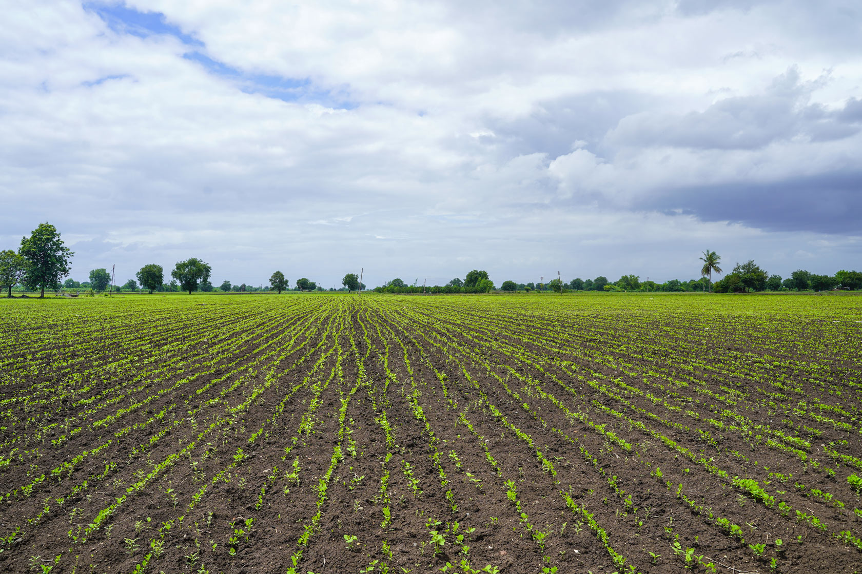 importancia del ph en la fertilidad del suelo